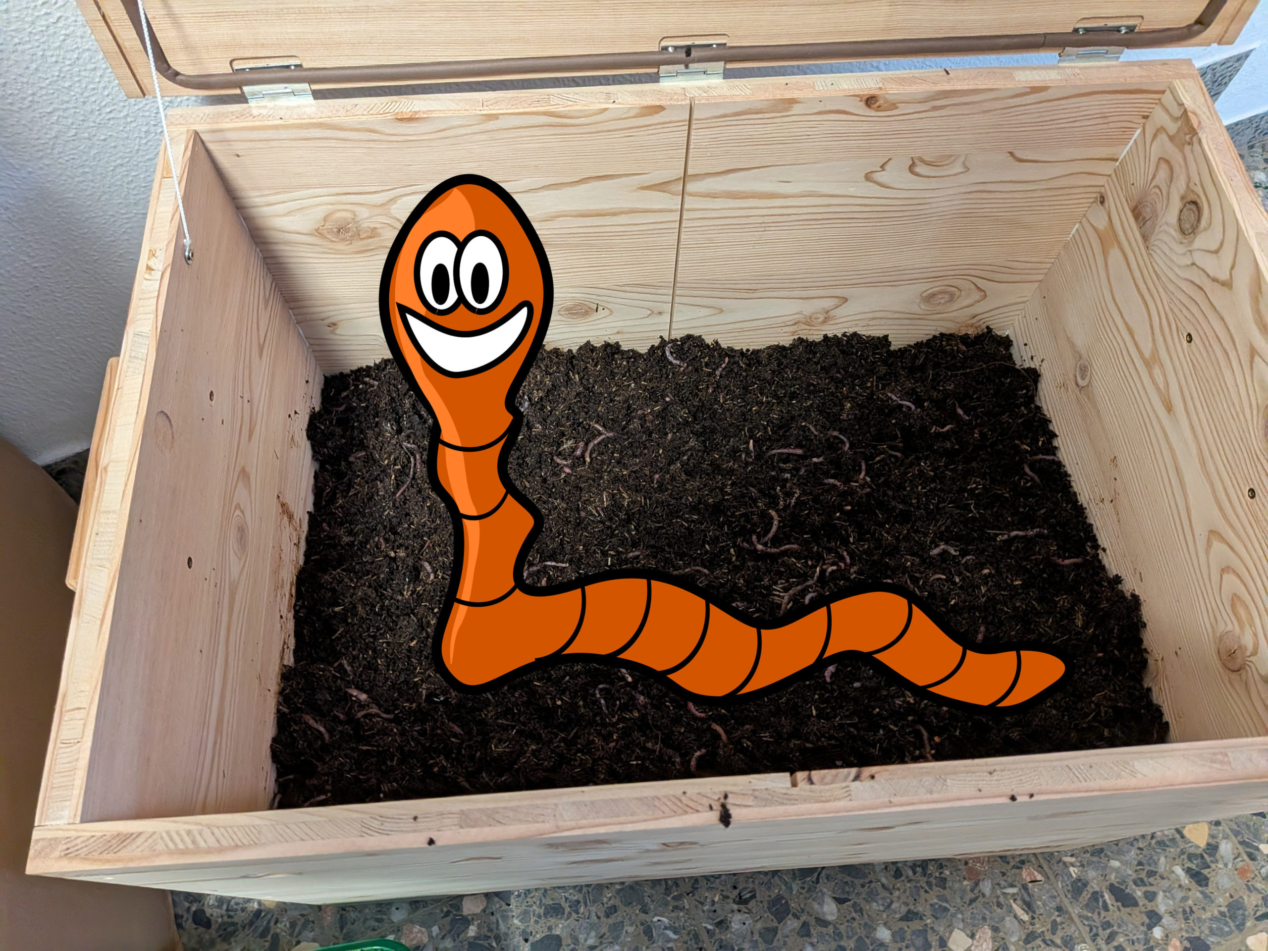 wurmkiste beitragsbild